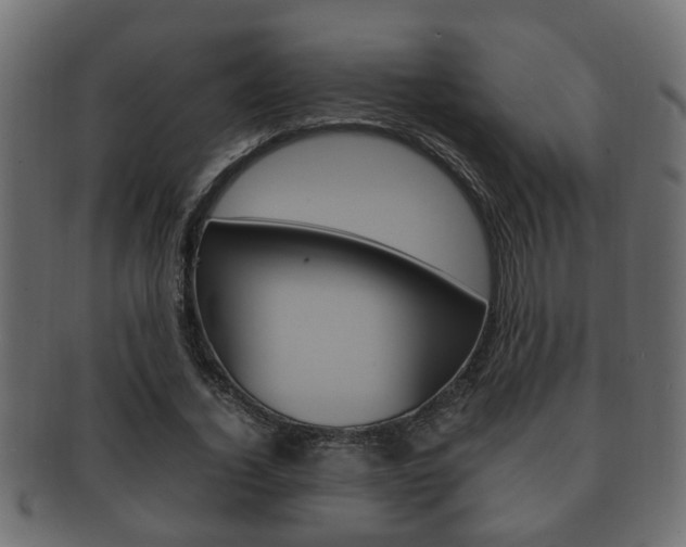 X0000092330732200709141117