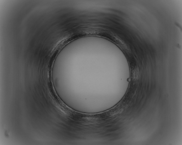 X0000092330733200709141117