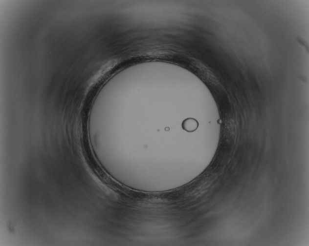 X0000092330734200709141117