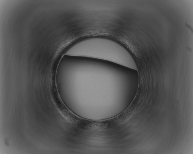 X0000092330736200709141117