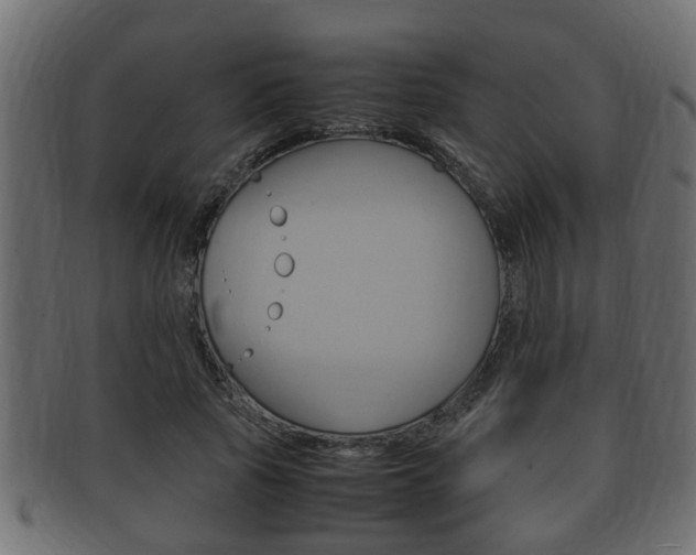 X0000092330737200709141117