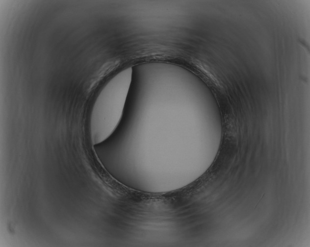 X0000092330738200709141117