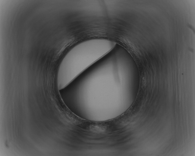 X0000092330739200709141117