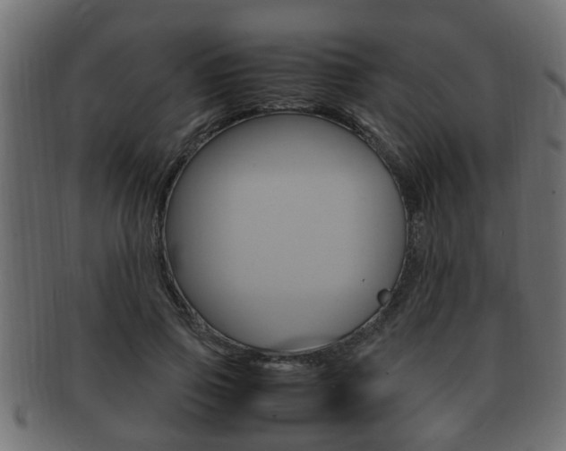 X0000092330741200709141117
