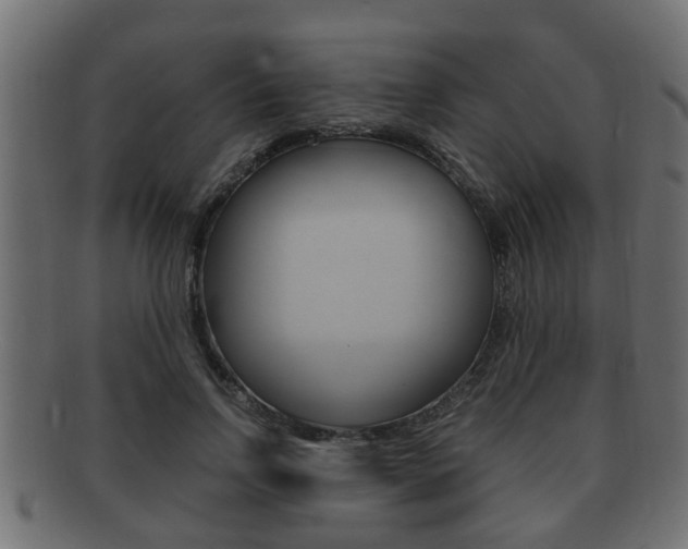 X0000092330742200709141117