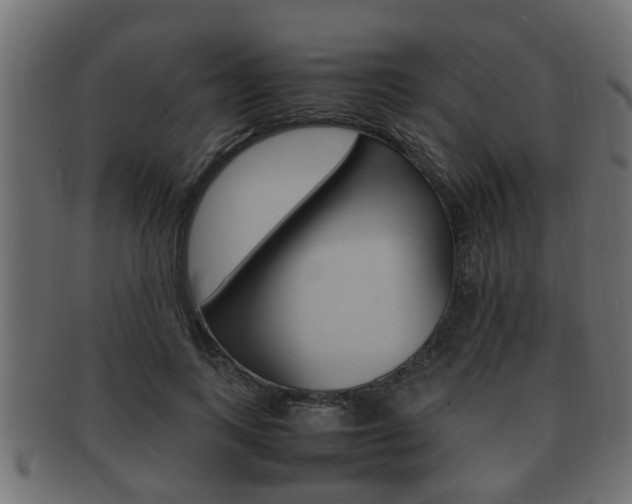 X0000092330743200709141117