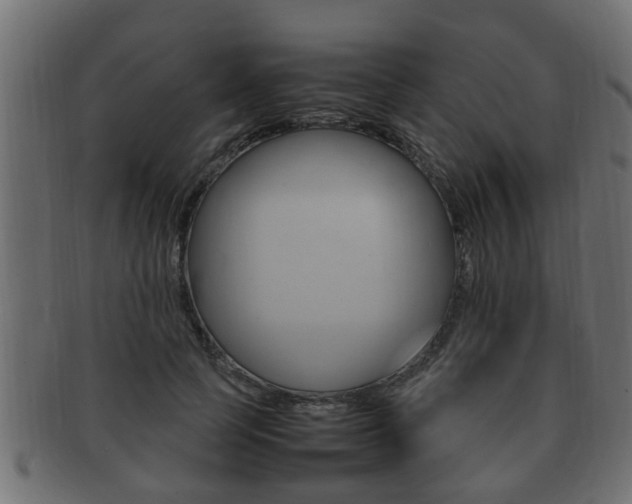 X0000092330745200709141117