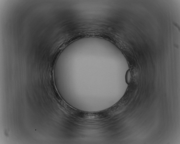 X0000092330746200709141117