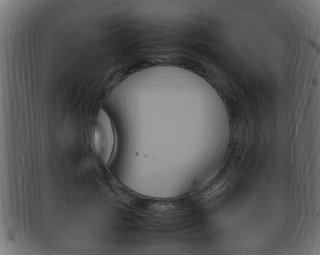 X0000092330749200709141117