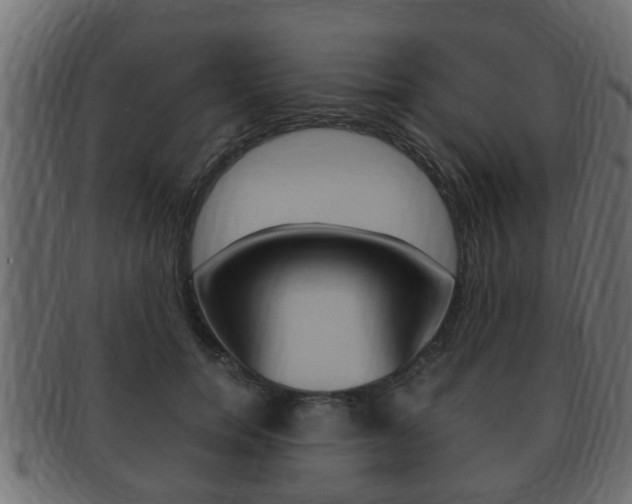 X0000092330750200709141117