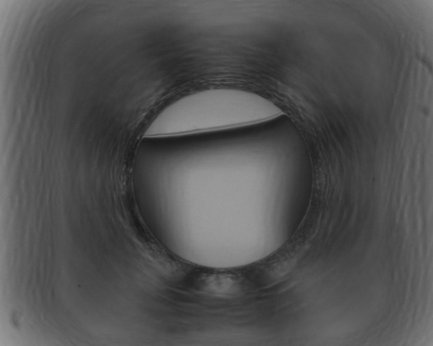 X0000092330751200709141117