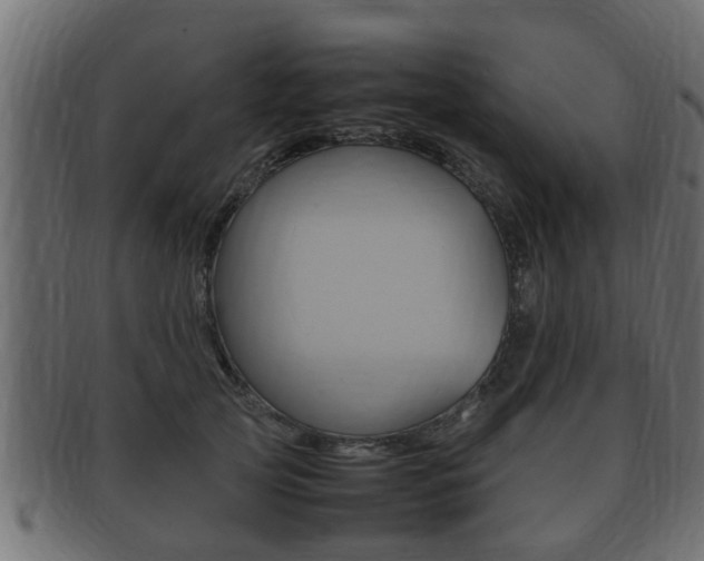 X0000092330753200709141117