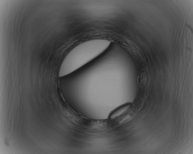 X0000092330754200709141117