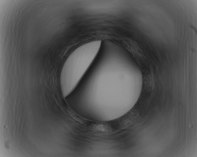 X0000092330755200709141117