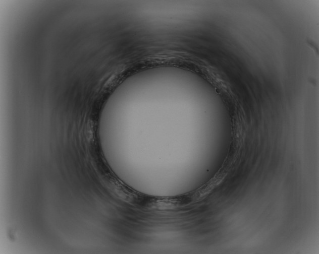 X0000092330758200709141117