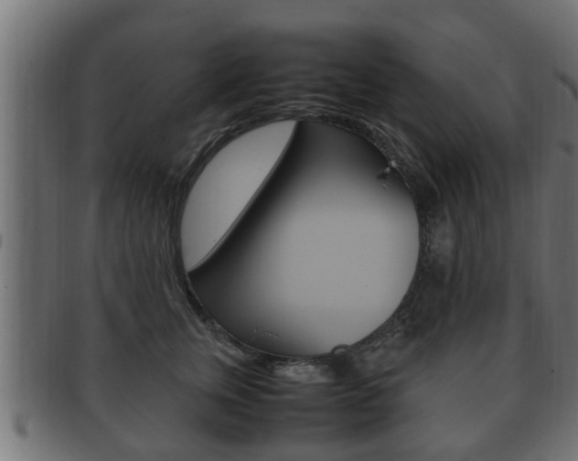 X0000092330759200709141117