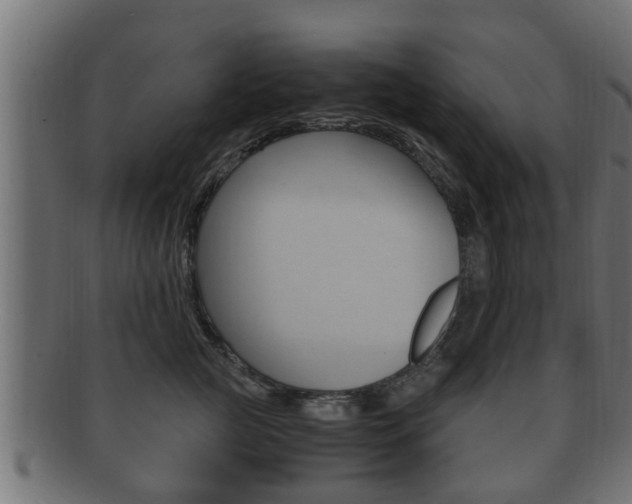 X0000092330761200709141117