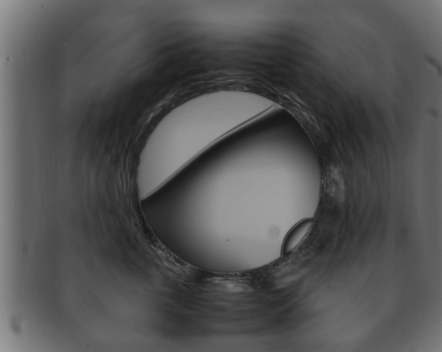X0000092330763200709141117