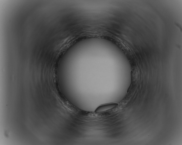 X0000092330764200709141117