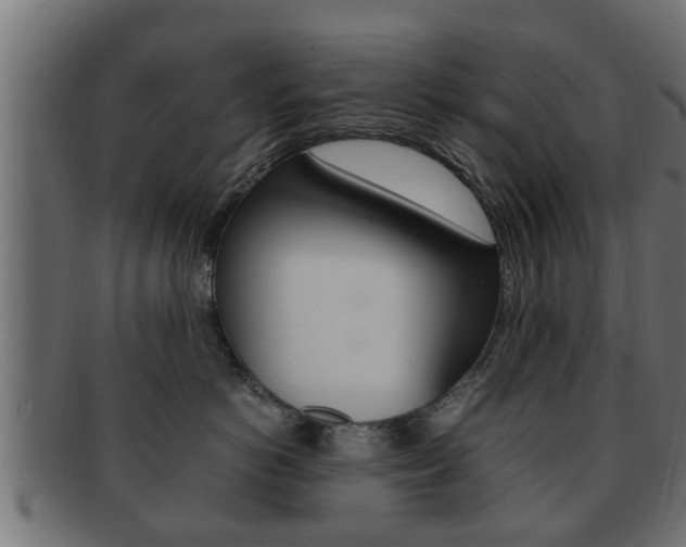 X0000092330766200709141117