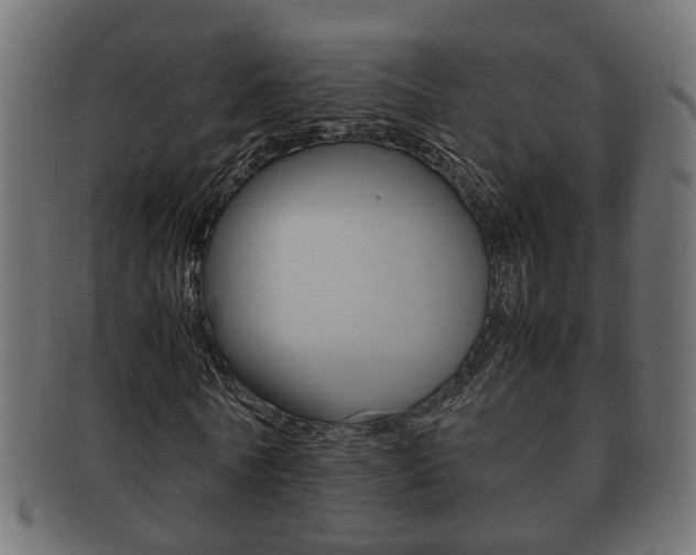 X0000092330770200709141117