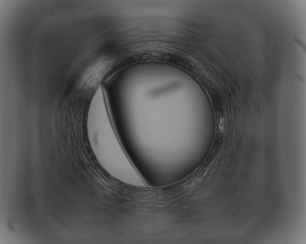 X0000092330771200709141117