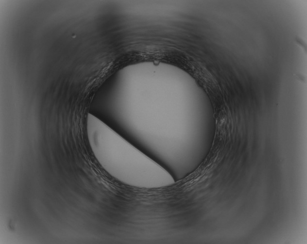 X0000092330772200709141117