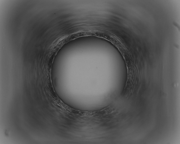 X0000092330773200709141117