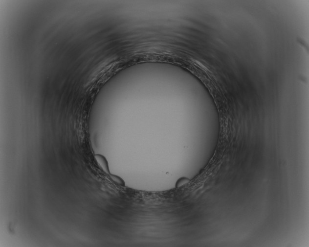 X0000092330774200709141117