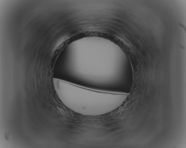 X0000092330775200709141117