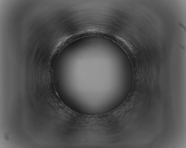 X0000092330776200709141117