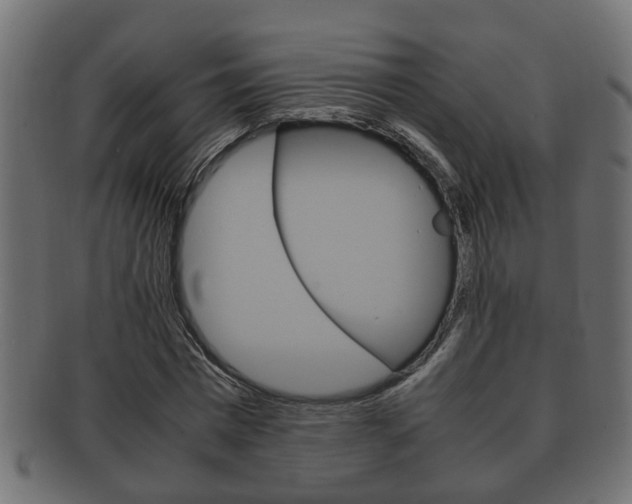 X0000092330777200709141117