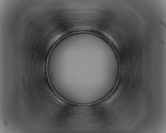 X0000092330778200709141117