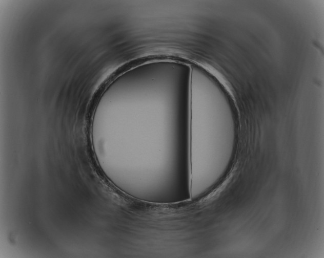 X0000092330783200709141116