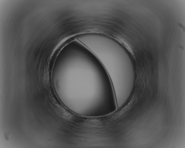 X0000092330784200709141116