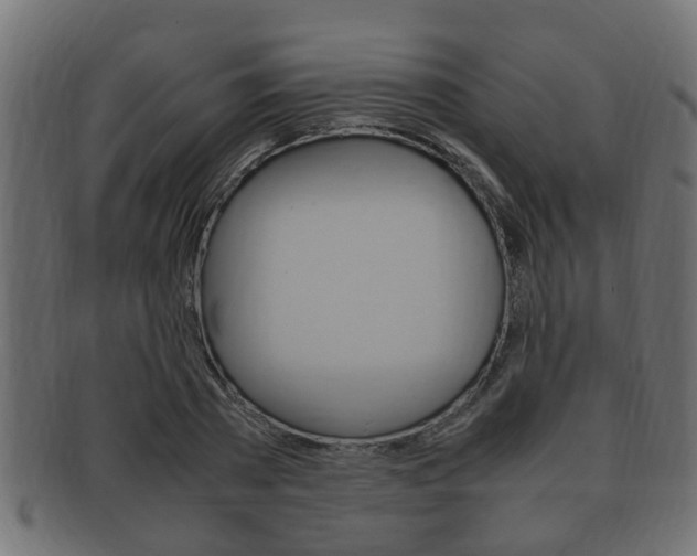 X0000092330785200709141116
