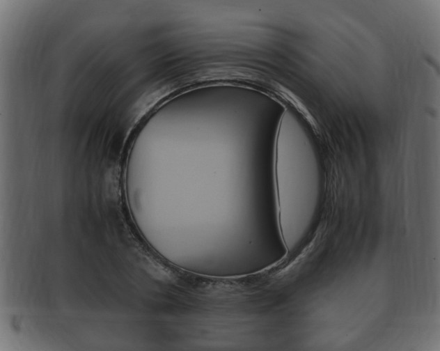 X0000092330786200709141116
