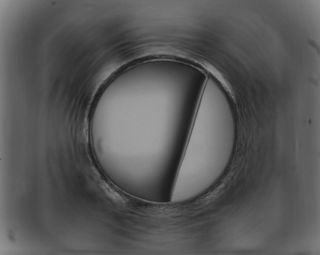 X0000092330791200709141116