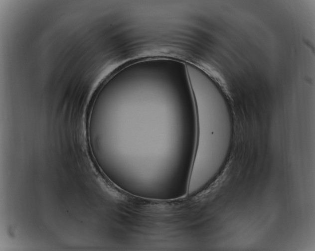 X0000092330792200709141116
