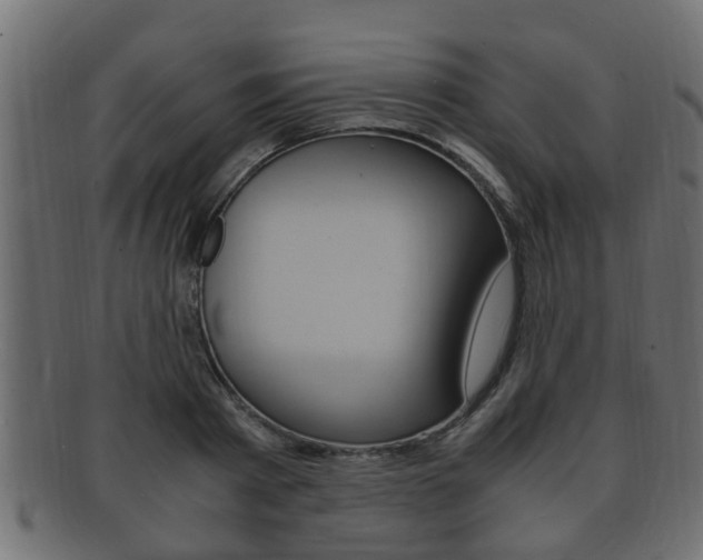 X0000092330793200709141116
