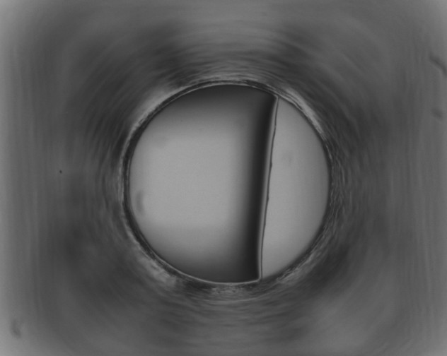 X0000092330795200709141116