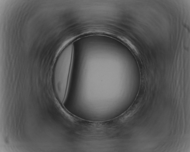 X0000092330799200709141116