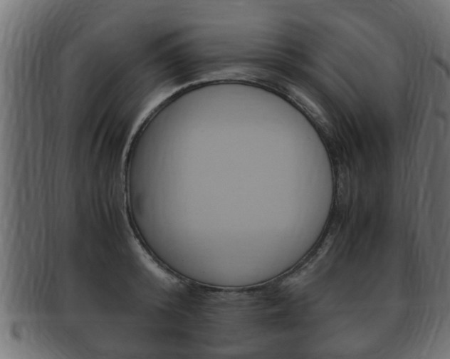 X0000092330800200709141116