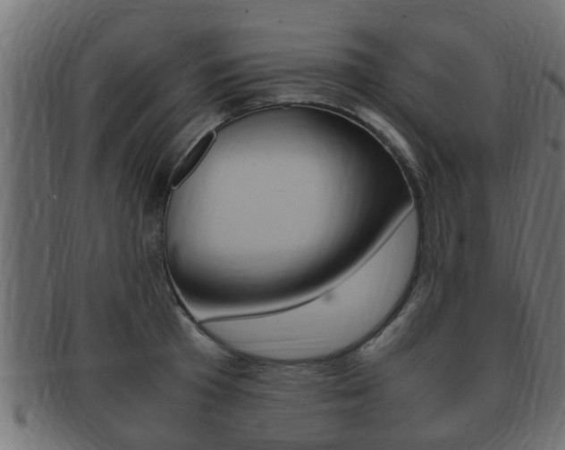 X0000092330801200709141116