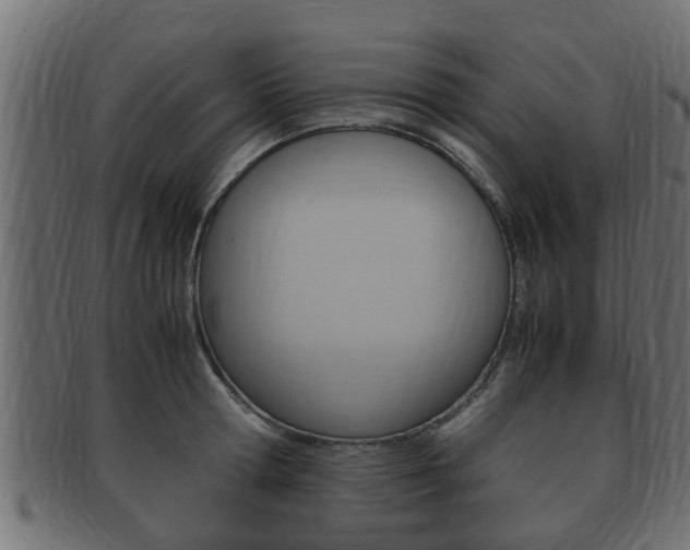X0000092330802200709141116