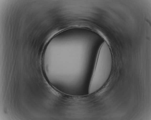 X0000092330803200709141116