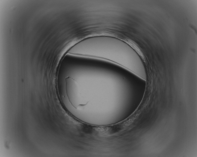 X0000092330805200709141116