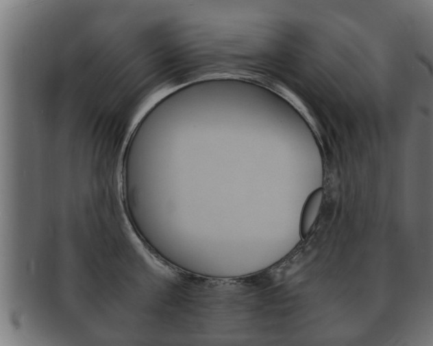 X0000092330811200709141116