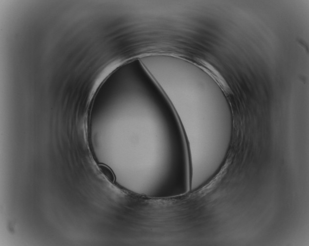 X0000092330812200709141116