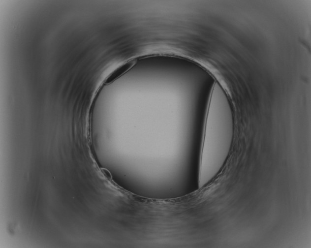 X0000092330815200709141116